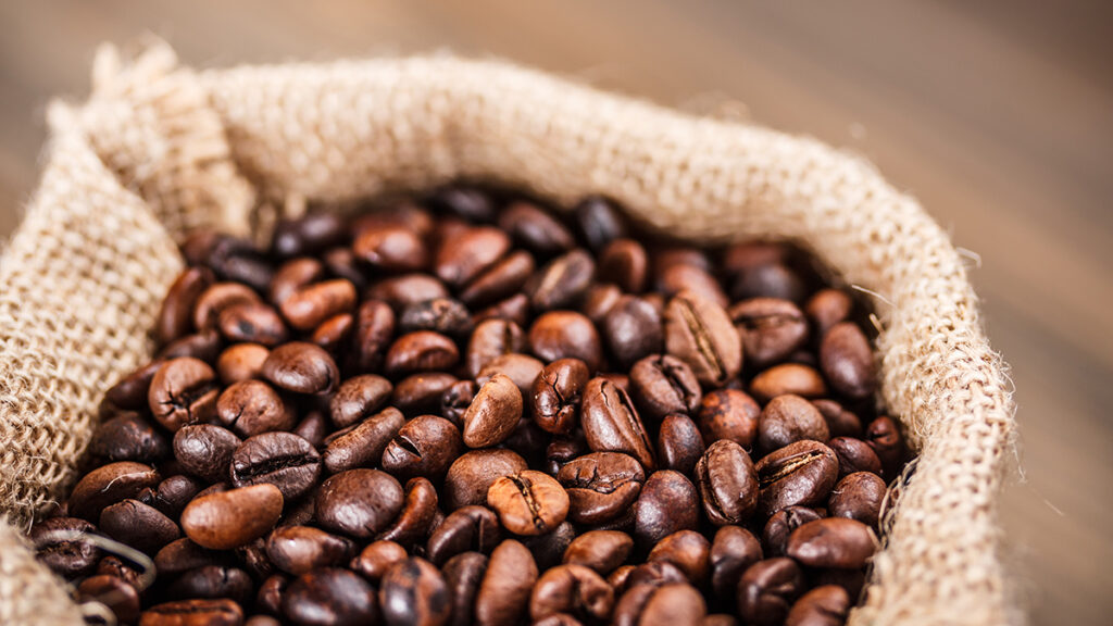 Where Does Coffee Come From? Square Coffee Co.