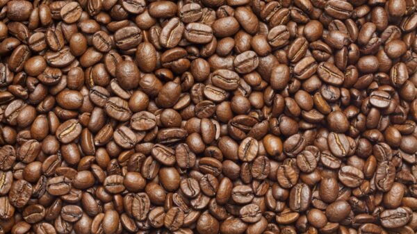 best coffee beans in the world