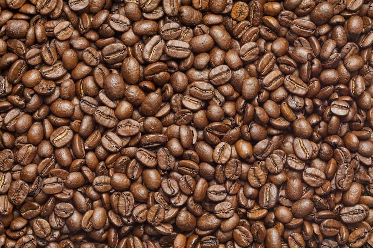 best coffee beans in the world