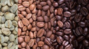 coffee beans the 3 coffee roast levels 